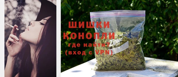 шишки Алзамай